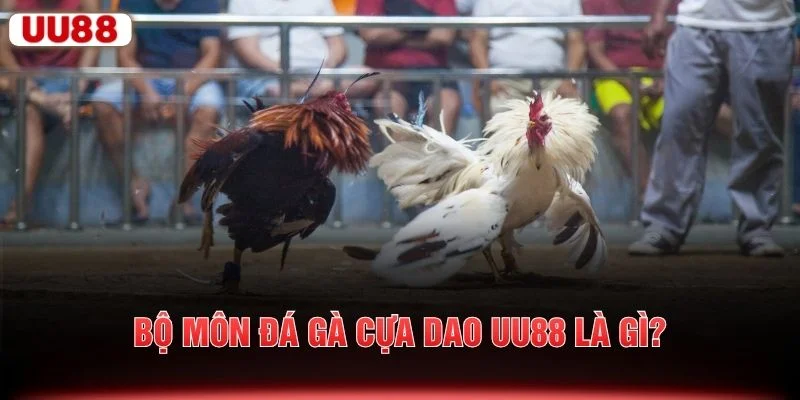 Bộ môn đá gà cựa dao UU88 là gì?