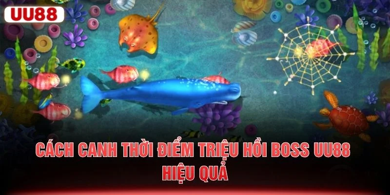 Cách canh thời điểm triệu hồi boss UU88 hiệu quả