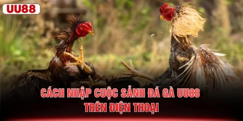Cách nhập cuộc sảnh đá gà UU88 trên điện thoại