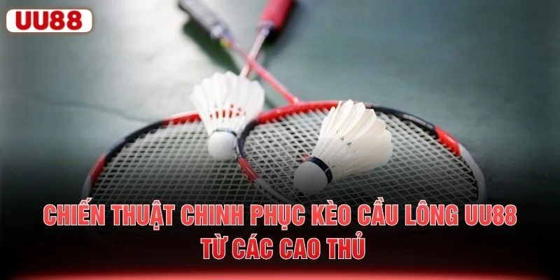 Chiến thuật chinh phục kèo cầu lông UU88 từ các cao thủ