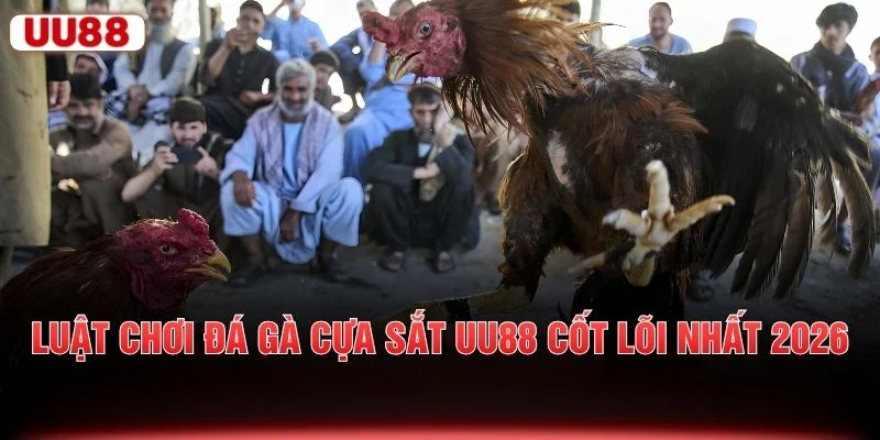 Luật chơi đá gà cựa sắt UU88 cốt lõi nhất 2026